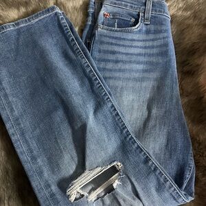 Hudson Jeans Classic Blue Denim